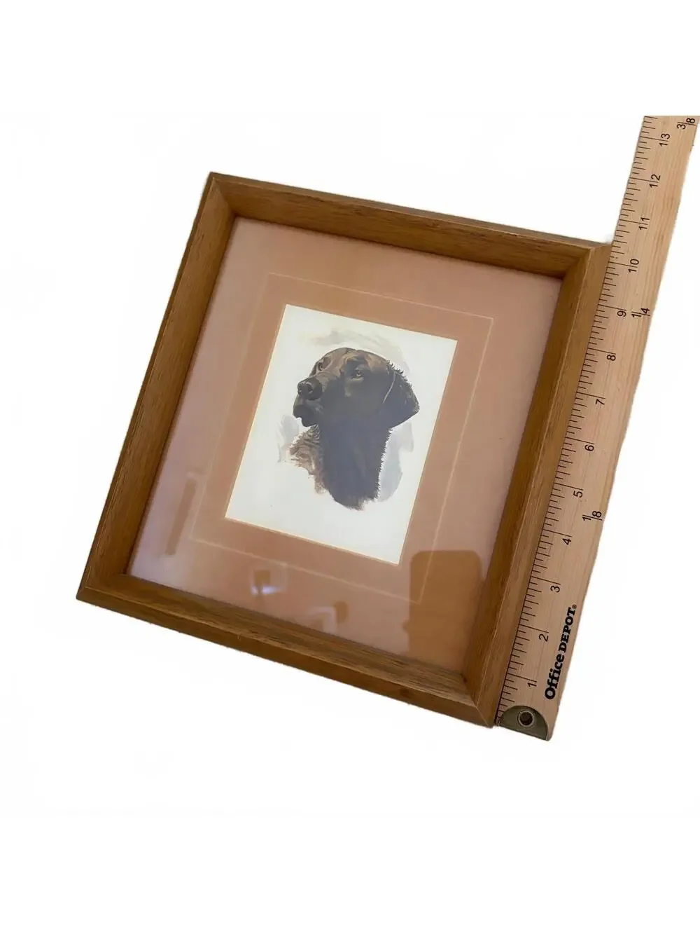 Winston Elliott Chesapeake Labrador Retriever Dog Portrait Painting Embossed Mat